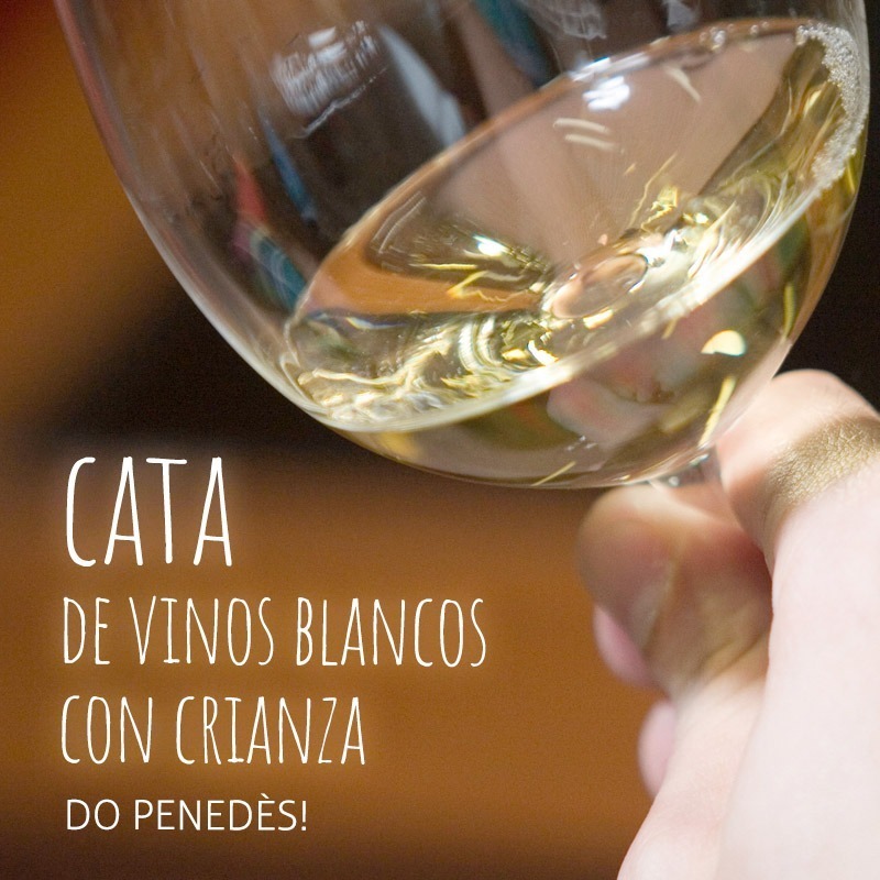 Cata de vinos blancos con crianza